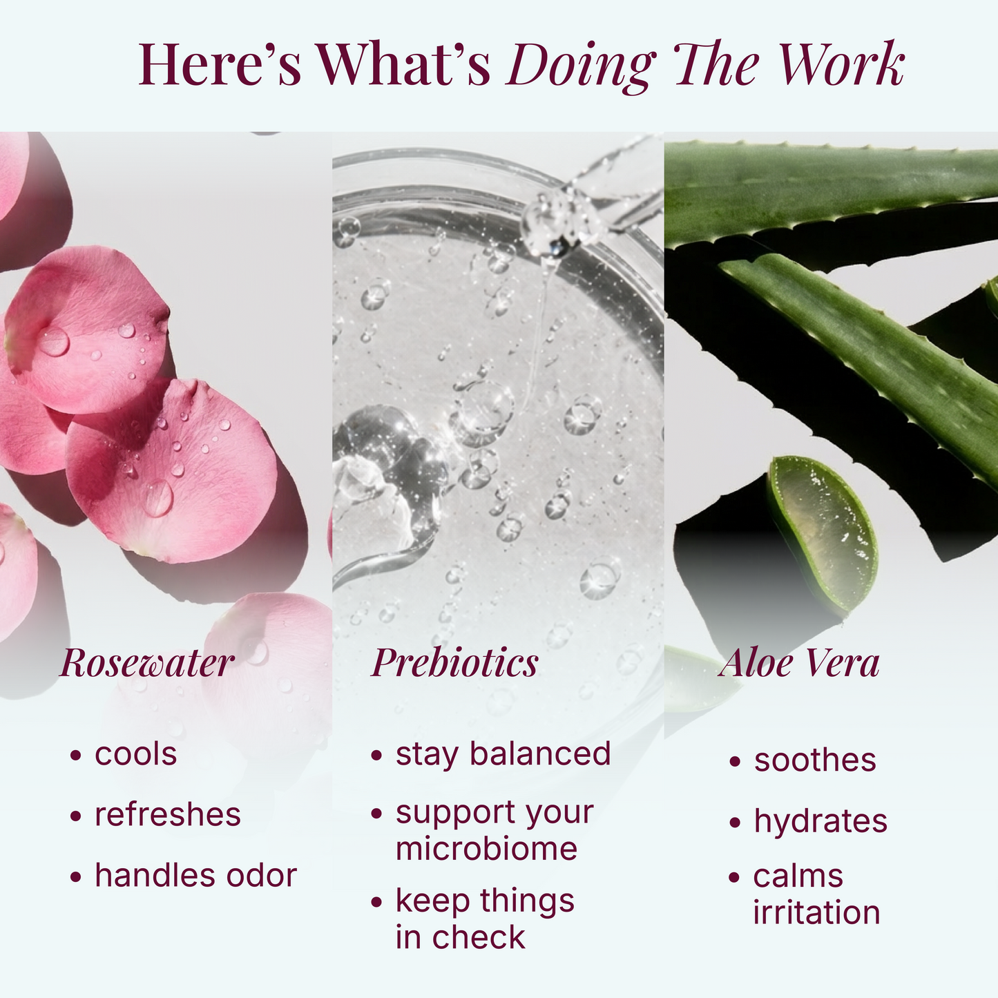 Prebiotic Hydrosol Mist