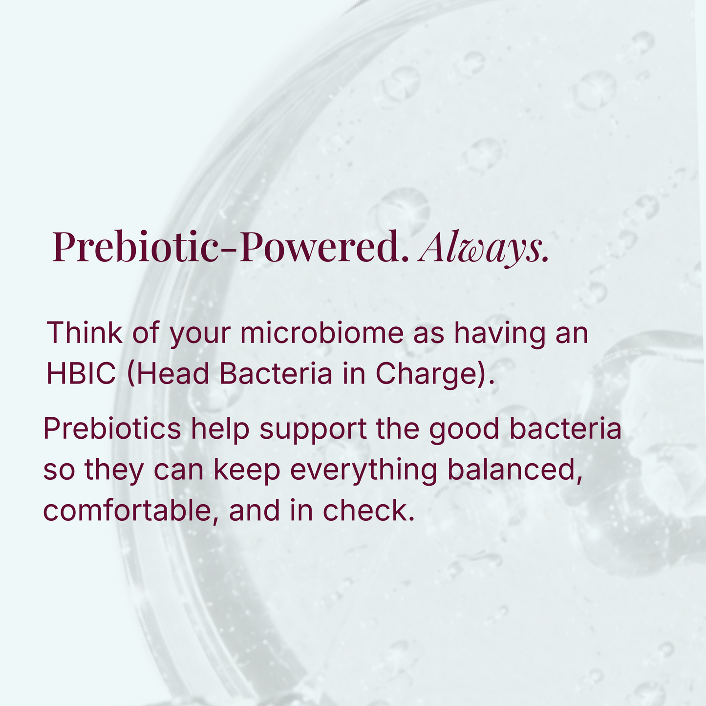 Prebiotic Hydrosol Mist