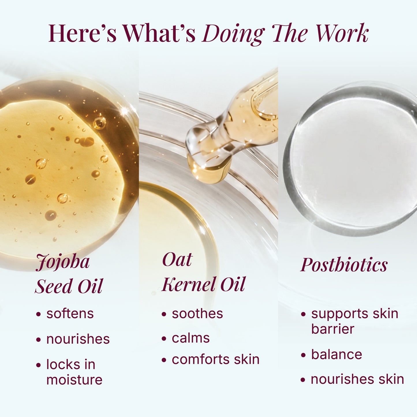 Postbiotic Soothing Oil